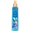 Morning Glory Fragrance Body Mist 8 oz Pack of 12 Z890366