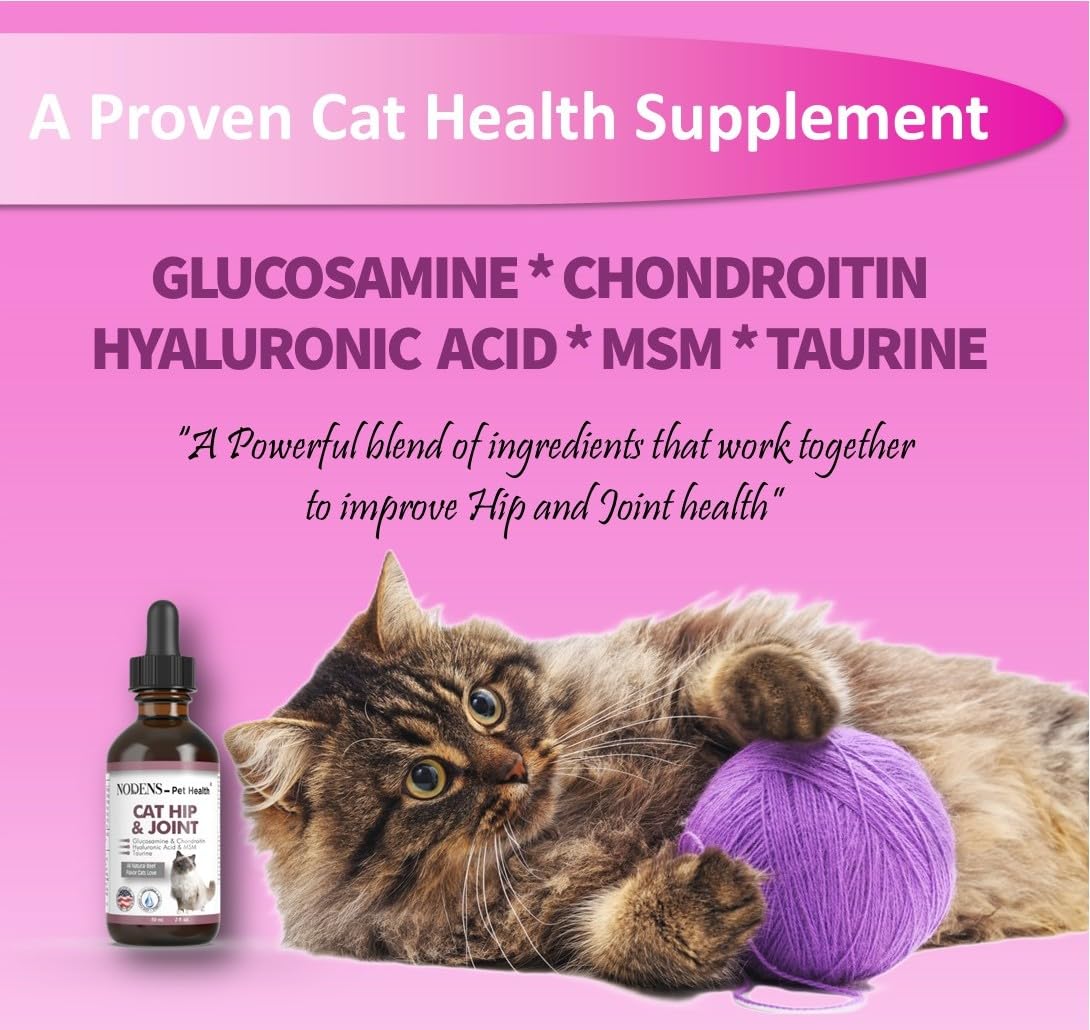 Natural Glucosamine for Cats and Small Dogs O153820