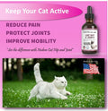 Natural Glucosamine for Cats and Small Dogs O153820
