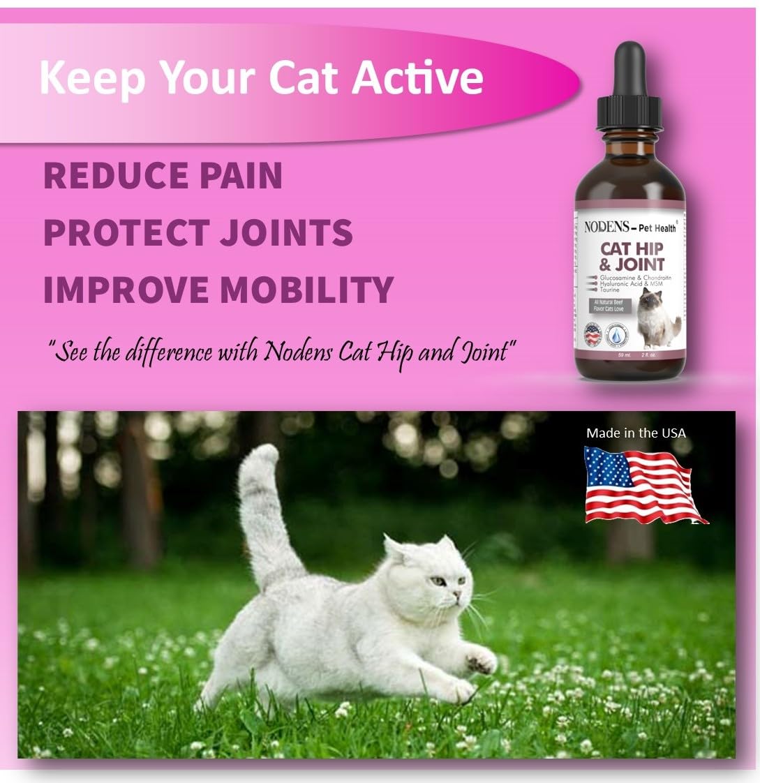 Natural Glucosamine for Cats and Small Dogs O153820