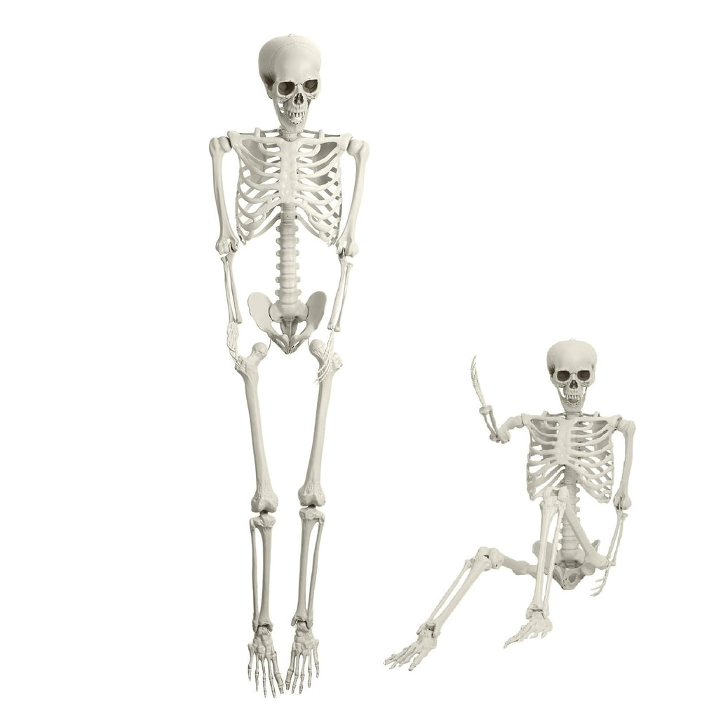 5.4FT Halloween Skeleton with Movable Joints D549934