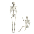 5.4FT Halloween Skeleton with Movable Joints D549934