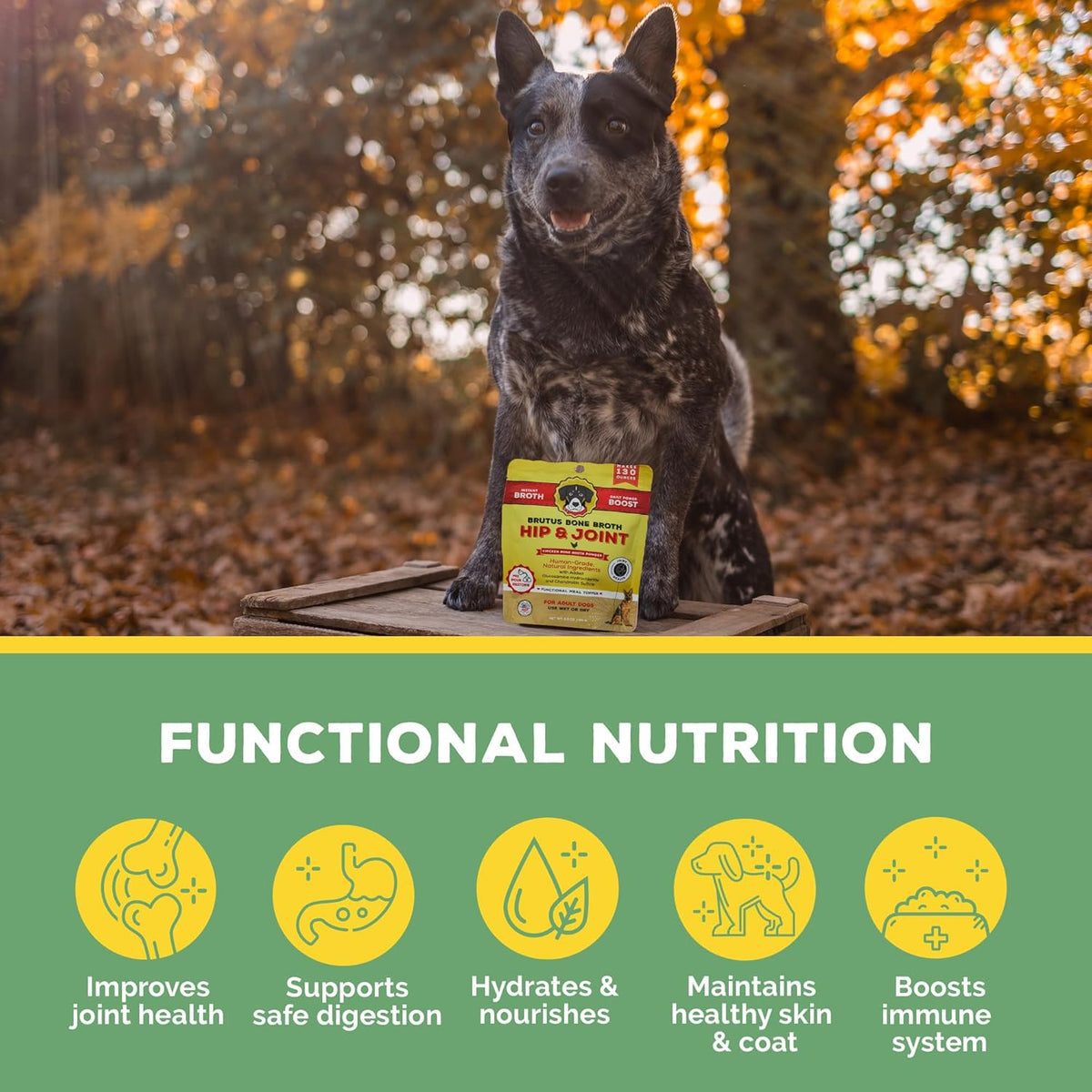 Chicken Flavor Bone Broth Powder for Dogs 3.5 oz Y4633