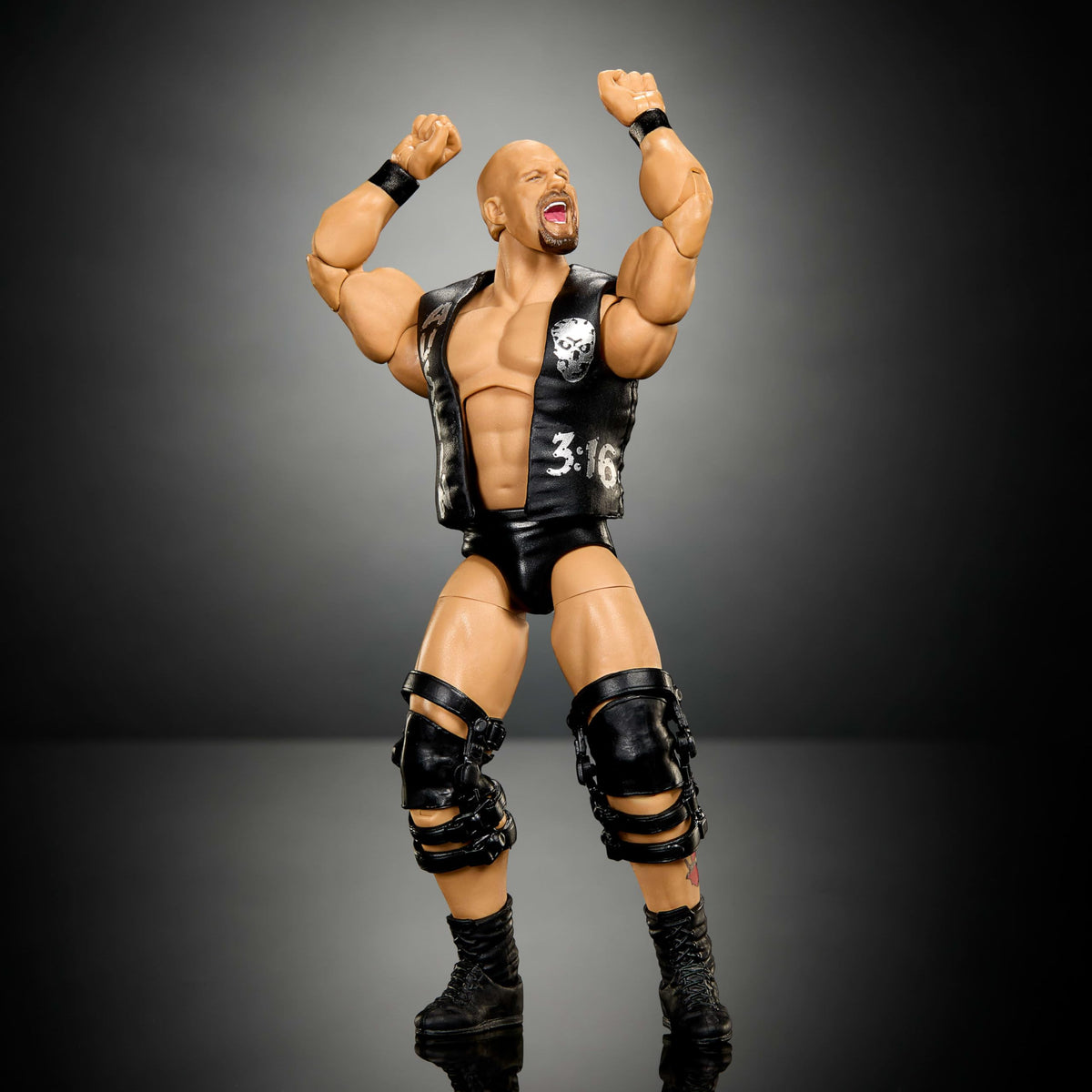 WWE Elite Collection Action Figure & Accessories N5109
