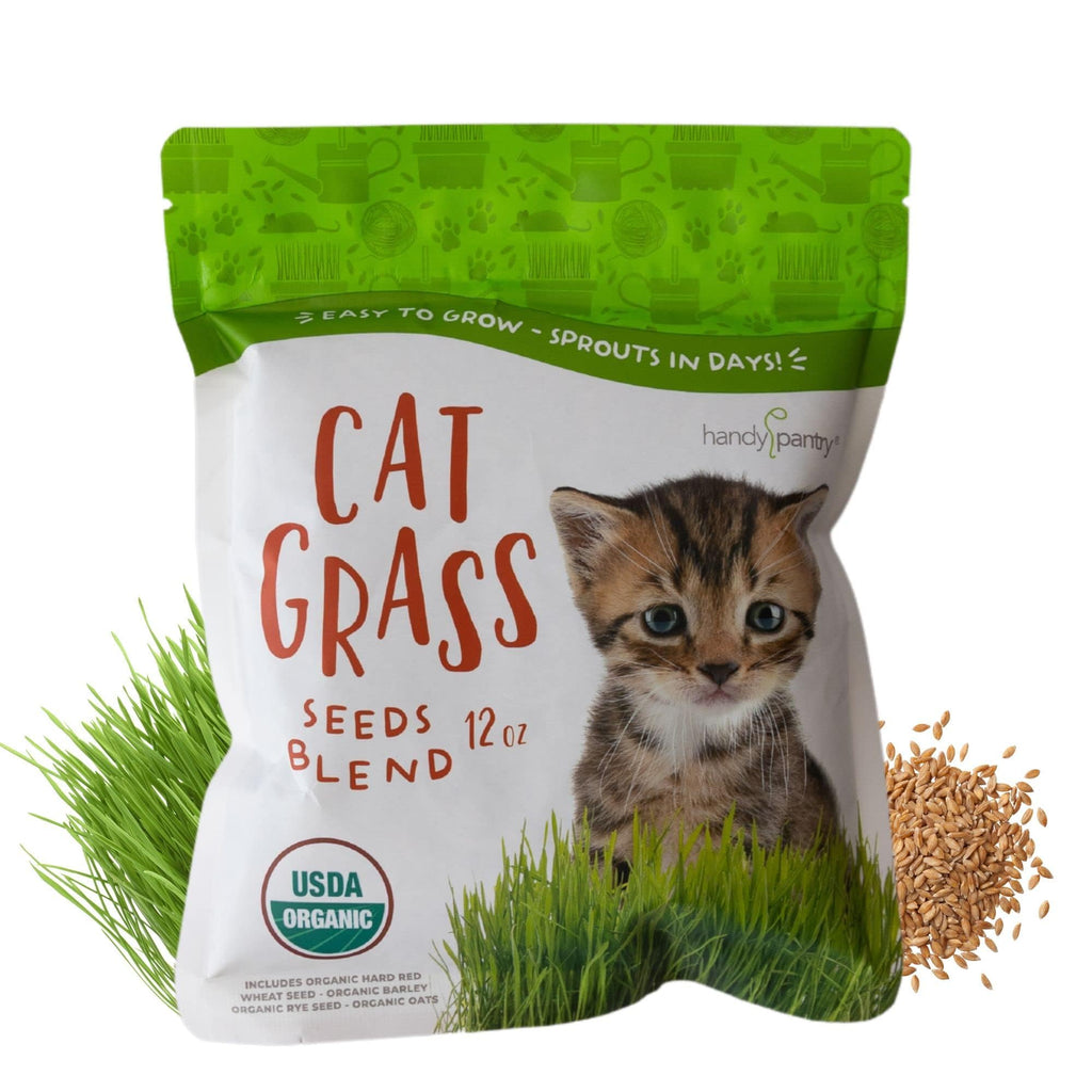 Organic Cat Grass Seed Blend 12 oz X776502