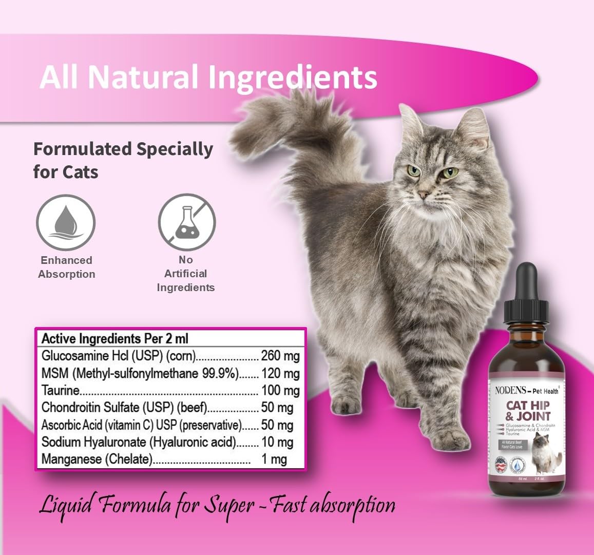 Natural Glucosamine for Cats and Small Dogs O153820