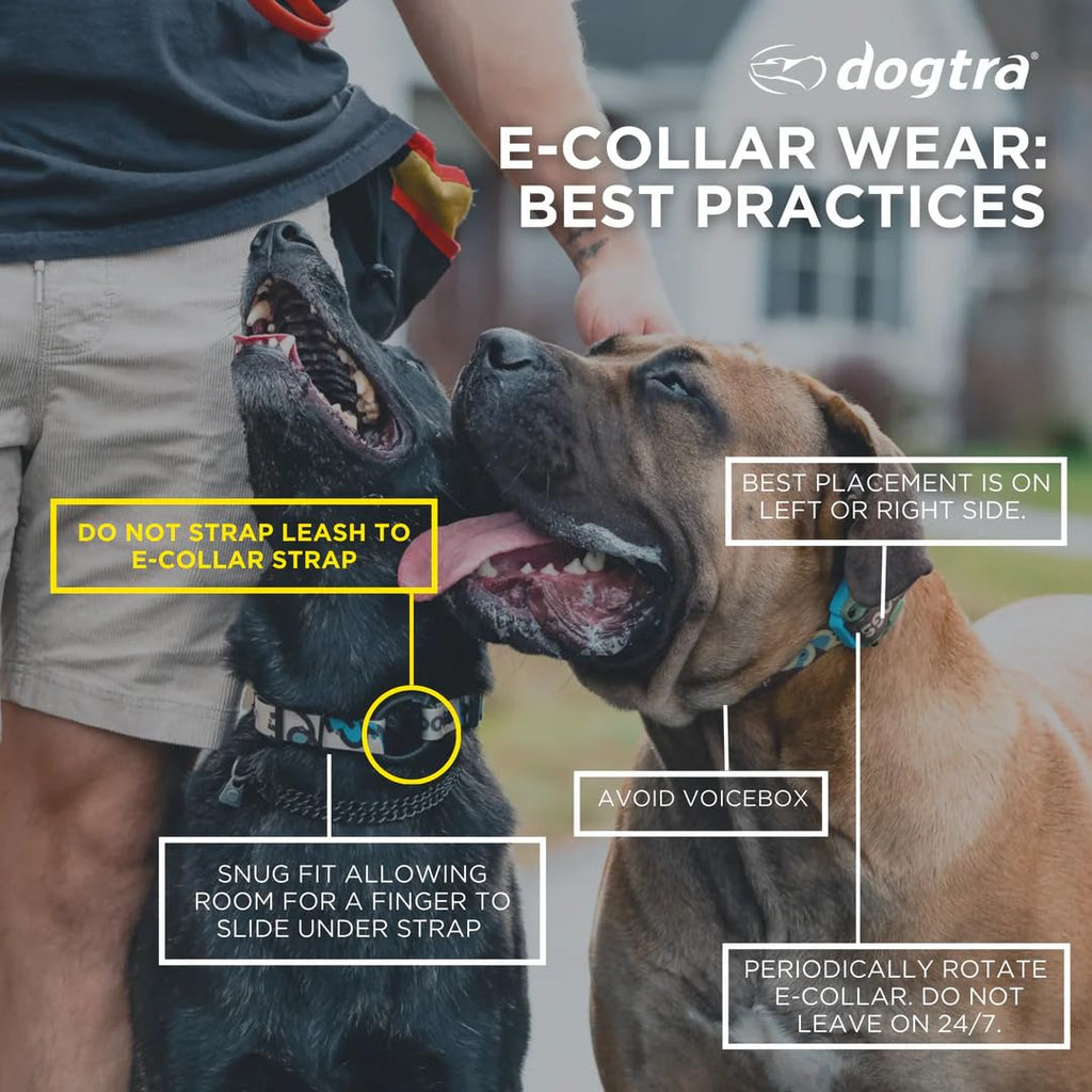 Waterproof Dog Training Collar with Remote J1590