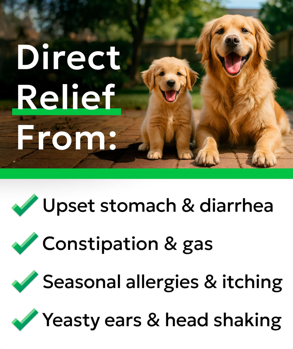 Dog Probiotics 120 Chews with Enzymes & Fiber S3626