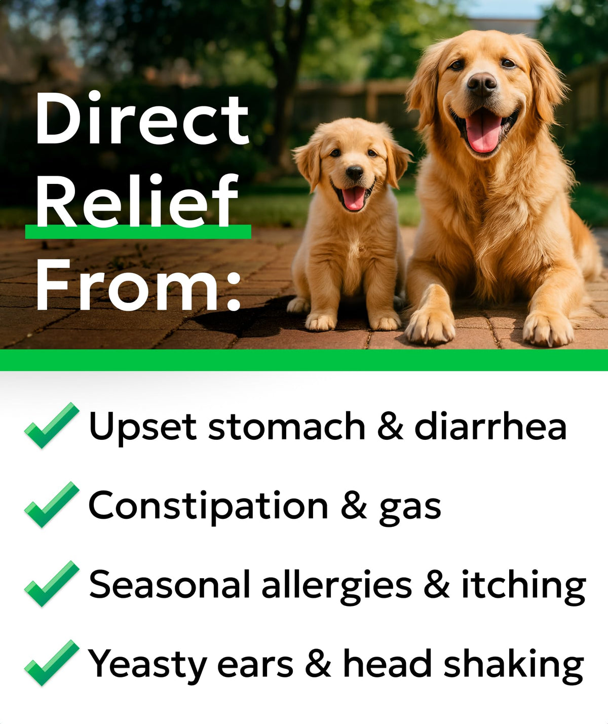 Dog Probiotics 120 Chews with Enzymes & Fiber S3626