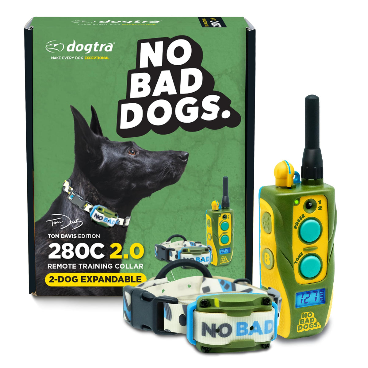 Waterproof Dog Training Collar with Remote J1590