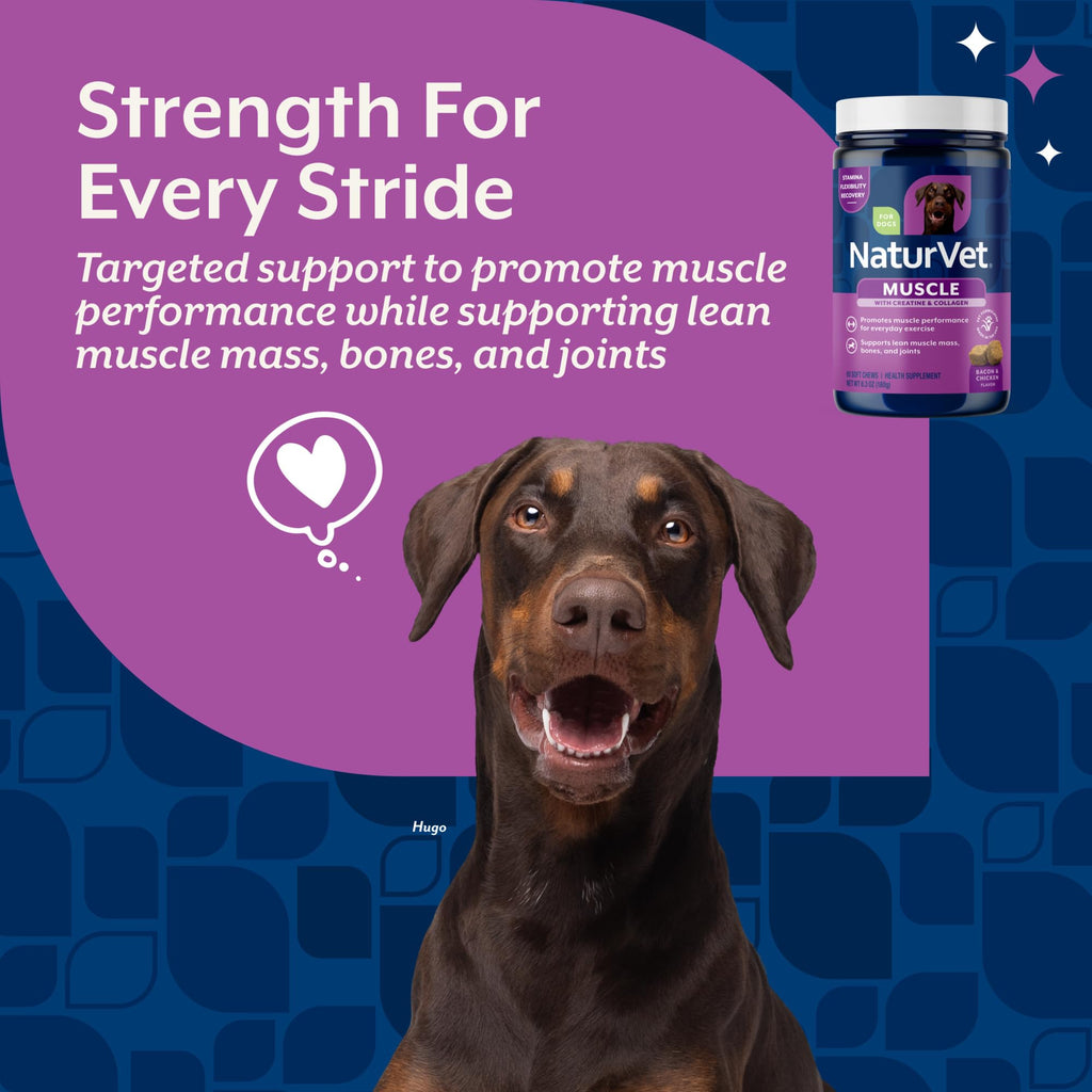 Hip & Joint Supplement for Dogs 60 Ct L9402