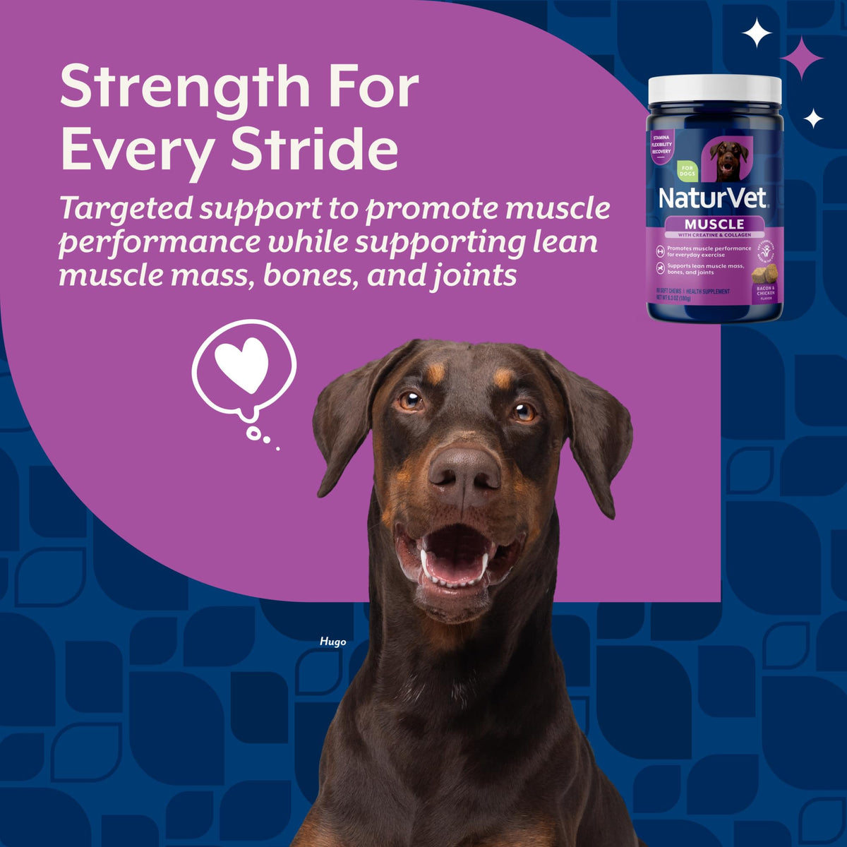 Hip & Joint Supplement for Dogs 60 Ct L9402