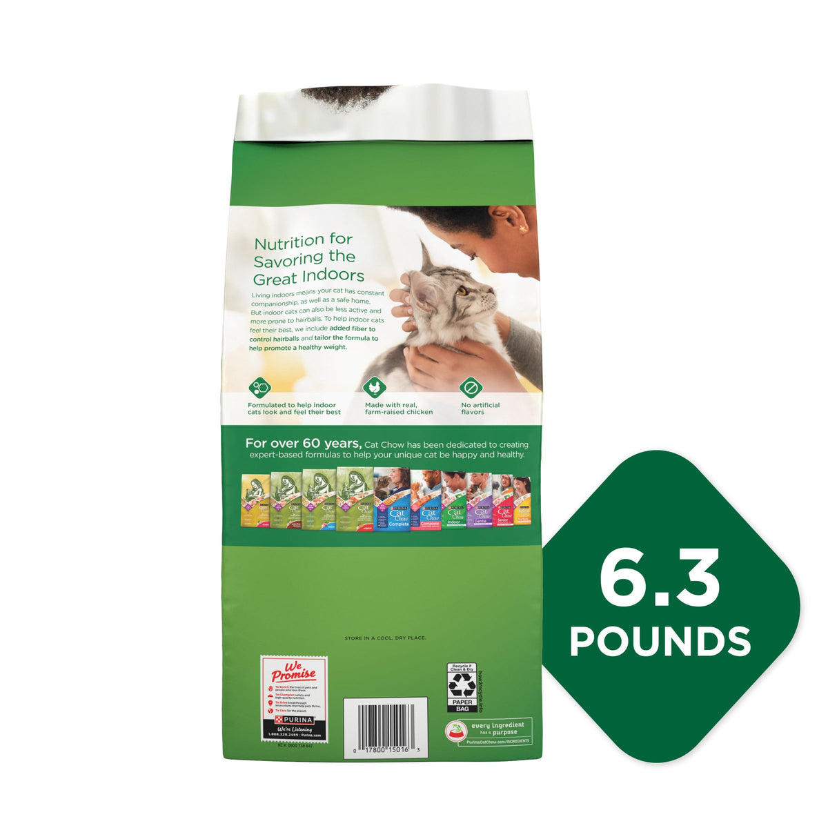 Indoor Dry Cat Food 6.3 lb. Bag S413868