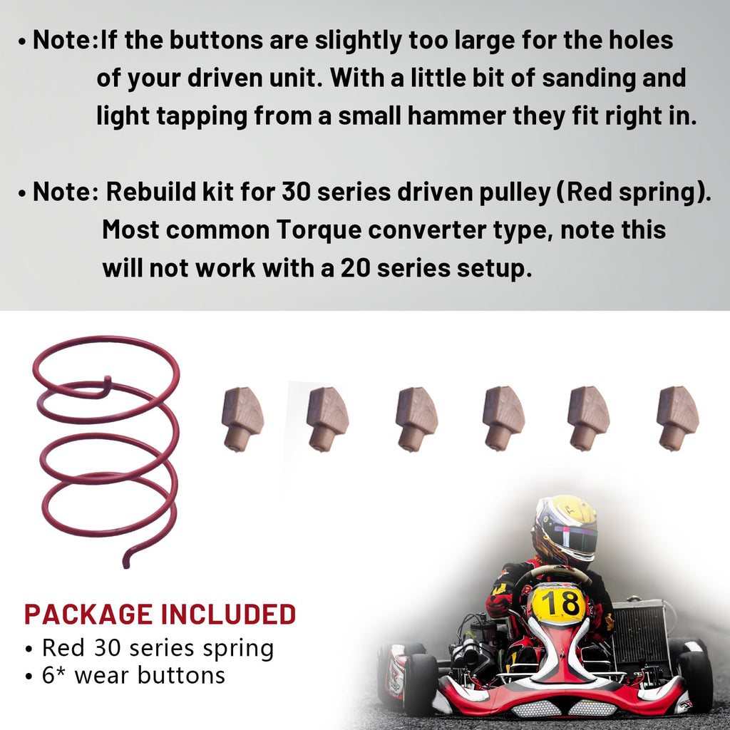 30 Series Torque Converter Driven Pulley Rebuild Kit A1841