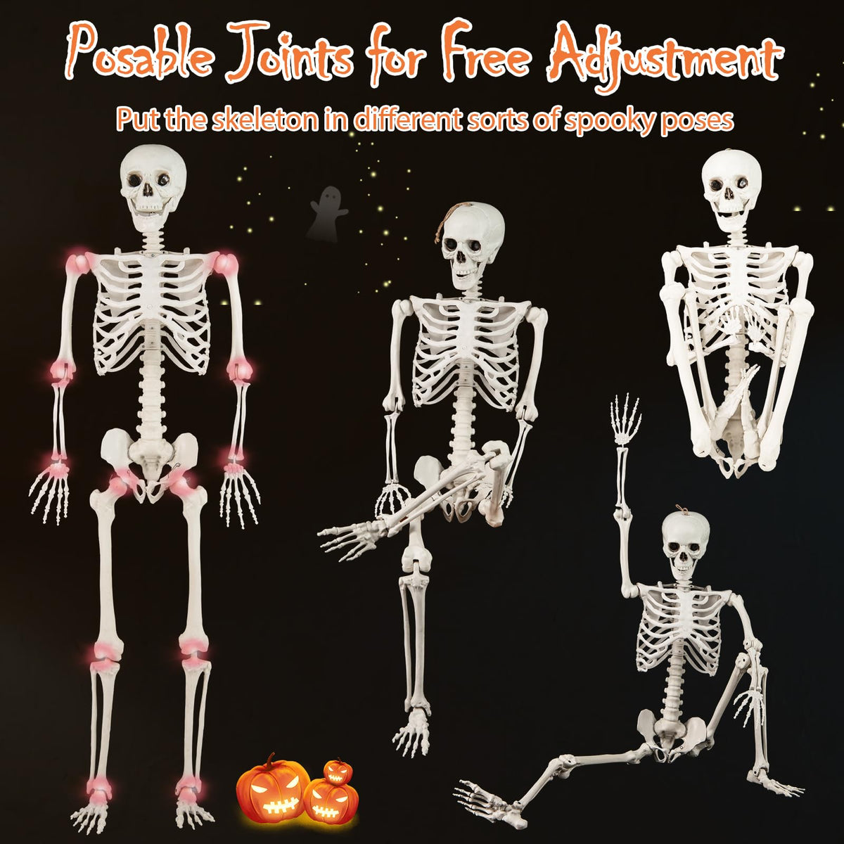 Life Size Posable Skeleton with Movable Joints D94795