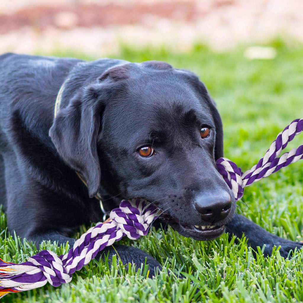 9 Pack Dog Rope Toys J630698