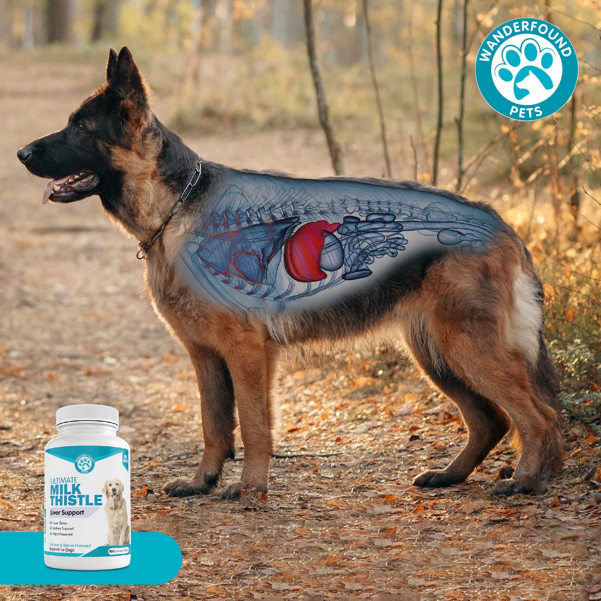 Milk Thistle for Dogs Chewable Tablets N58196