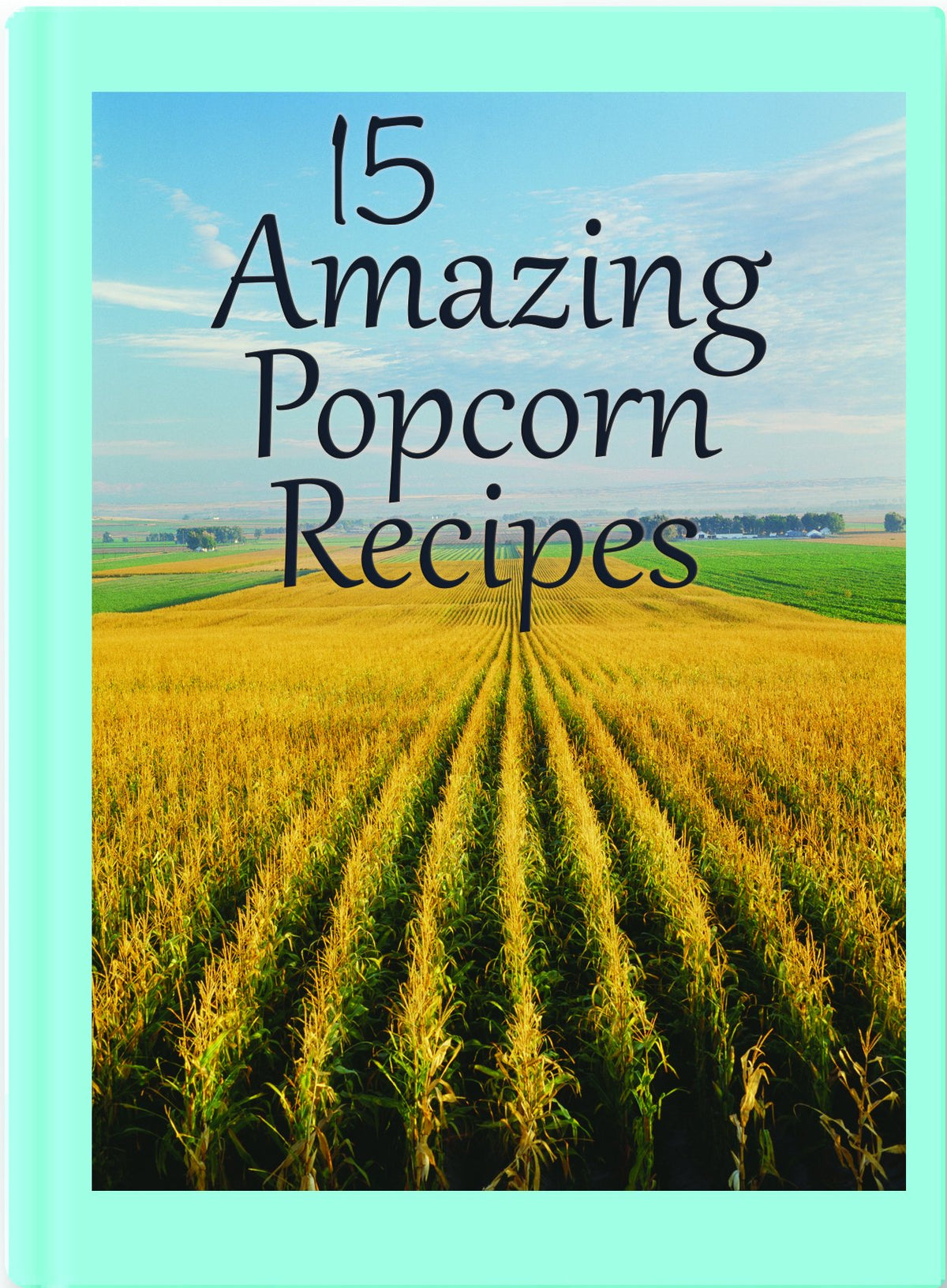 Coconut Oil and Buttery Popcorn Topping M96006