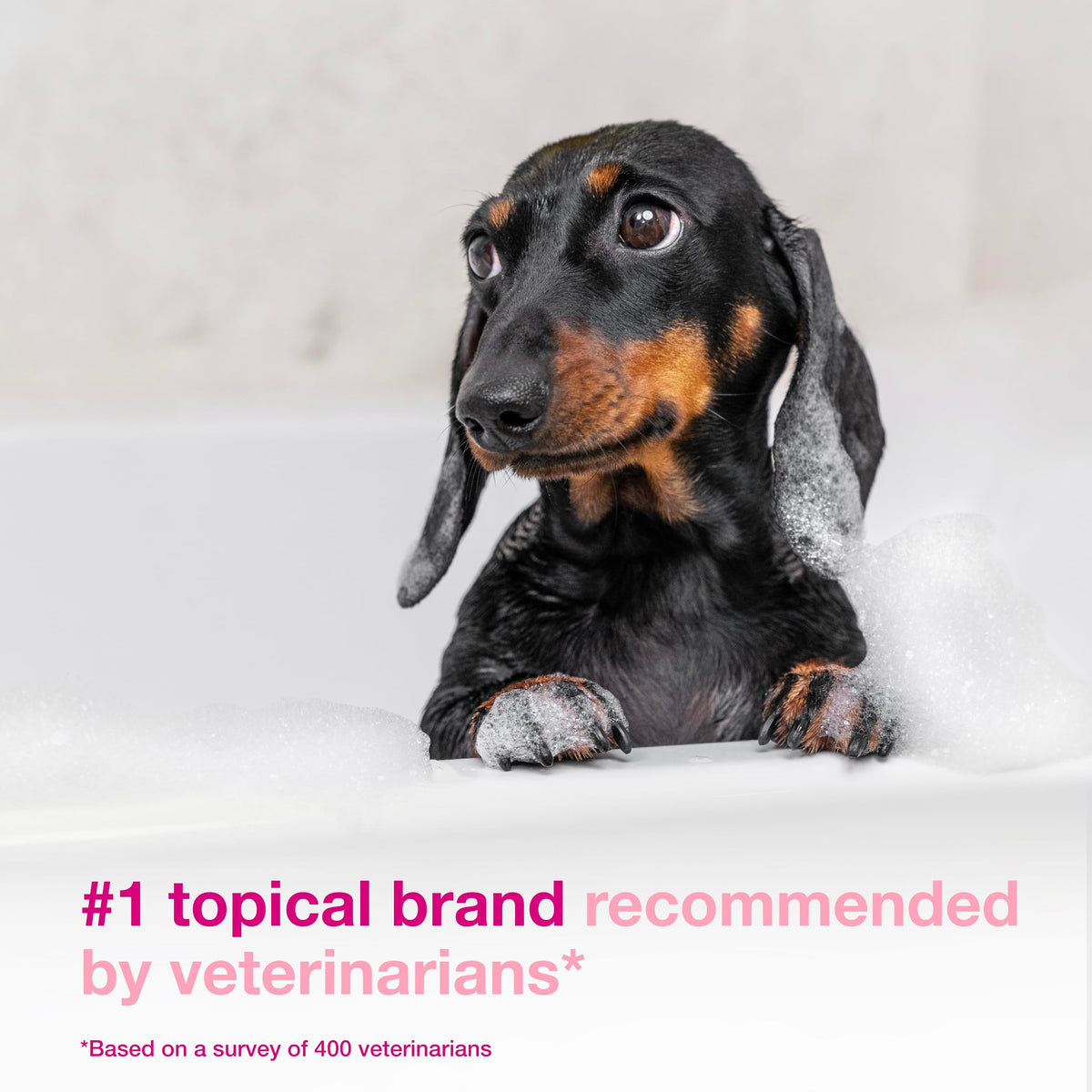 Dog Shampoo for Itchy Skin 6.7 fl oz W65950