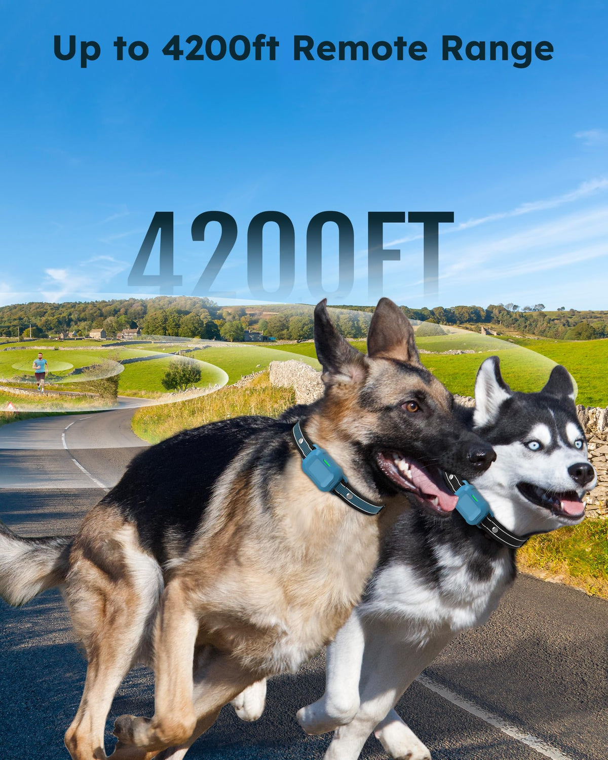 Dog Training Collar with Remote 2 Pack M3669