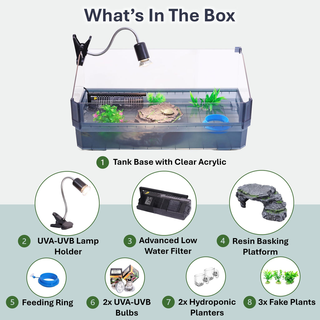 Black Turtle Tank Kit with Filter, UVB Lamp and Basking Platform N441446