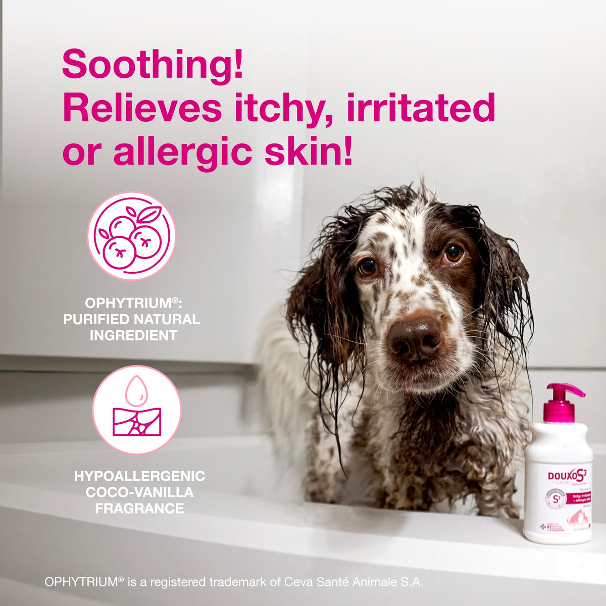 Dog Shampoo for Itchy Skin 6.7 fl oz W65950