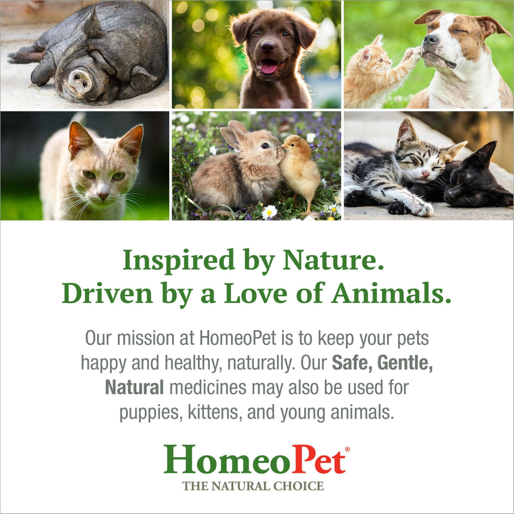 Feline Hairball Supplement 15 Milliliters F124662