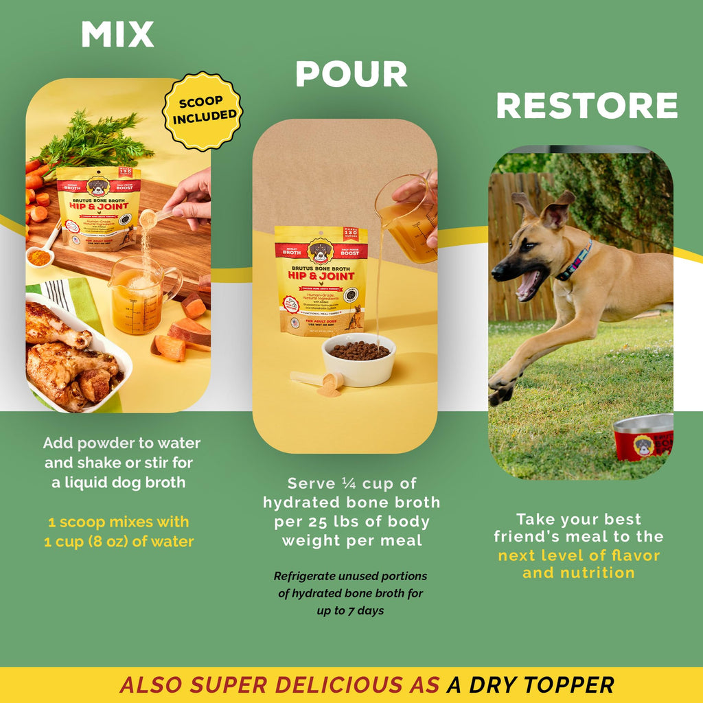Chicken Flavor Bone Broth Powder for Dogs 3.5 oz Y4633