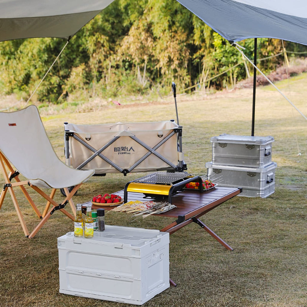 Charcoal BBQ Grill C991760