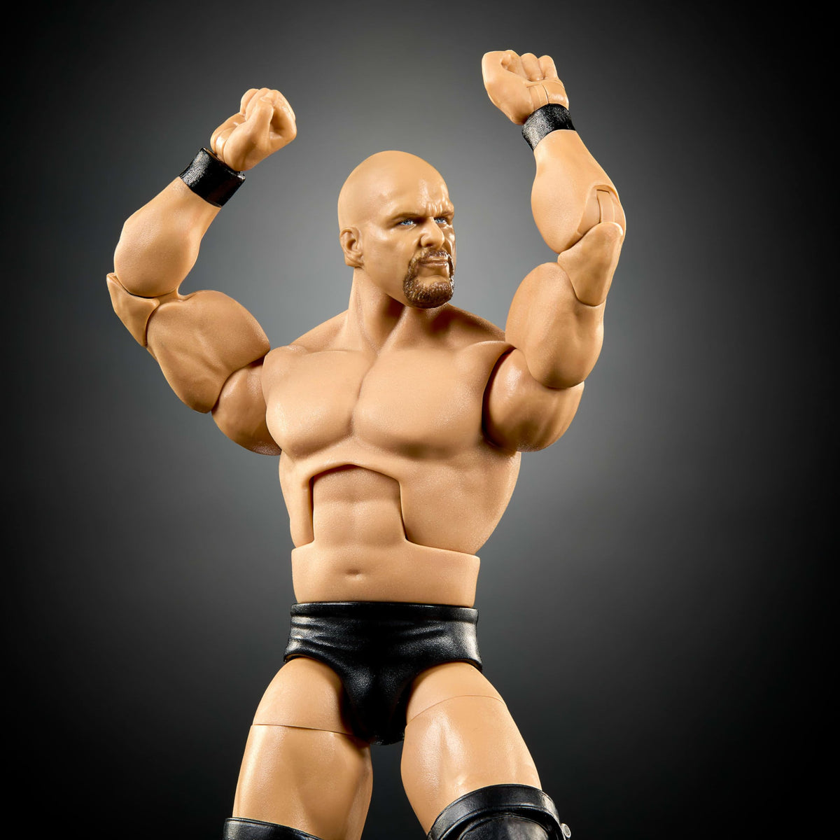 WWE Elite Collection Action Figure & Accessories N5109