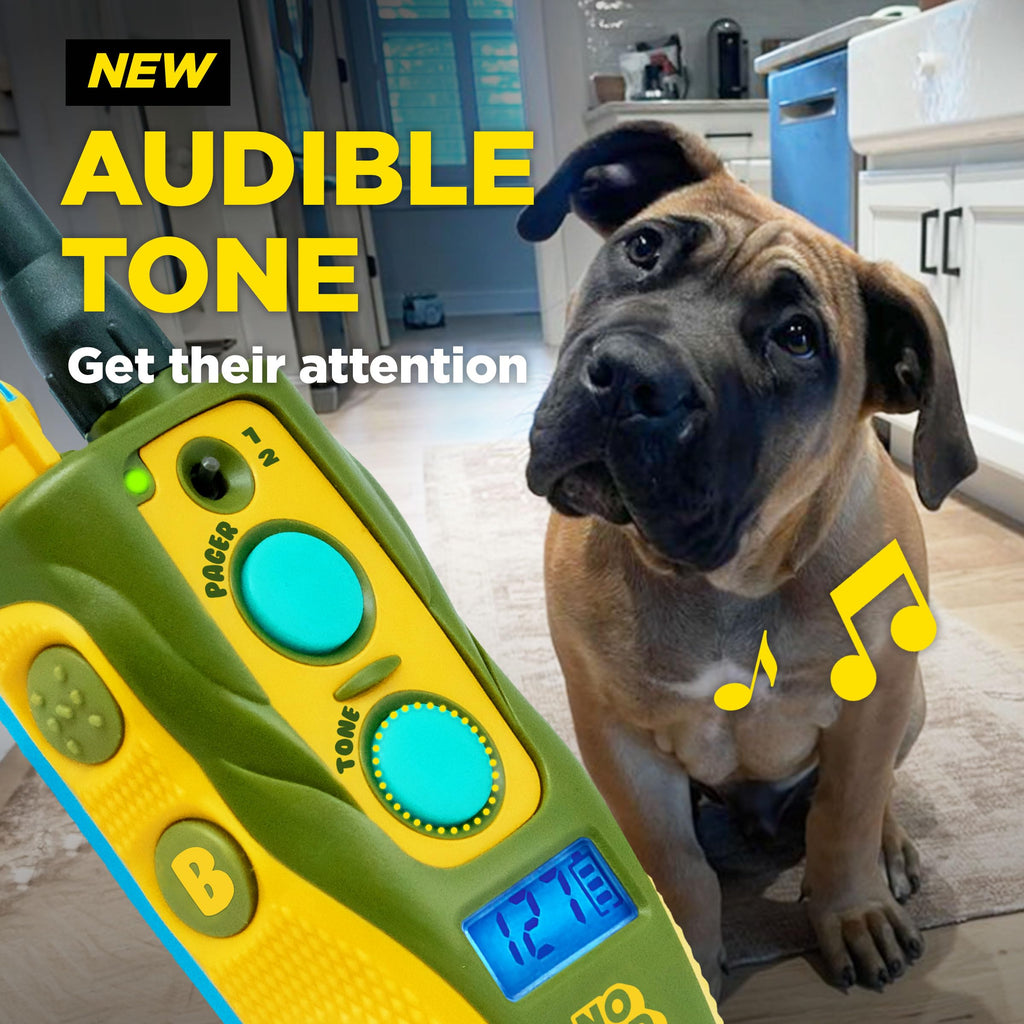 Waterproof Dog Training Collar with Remote J1590