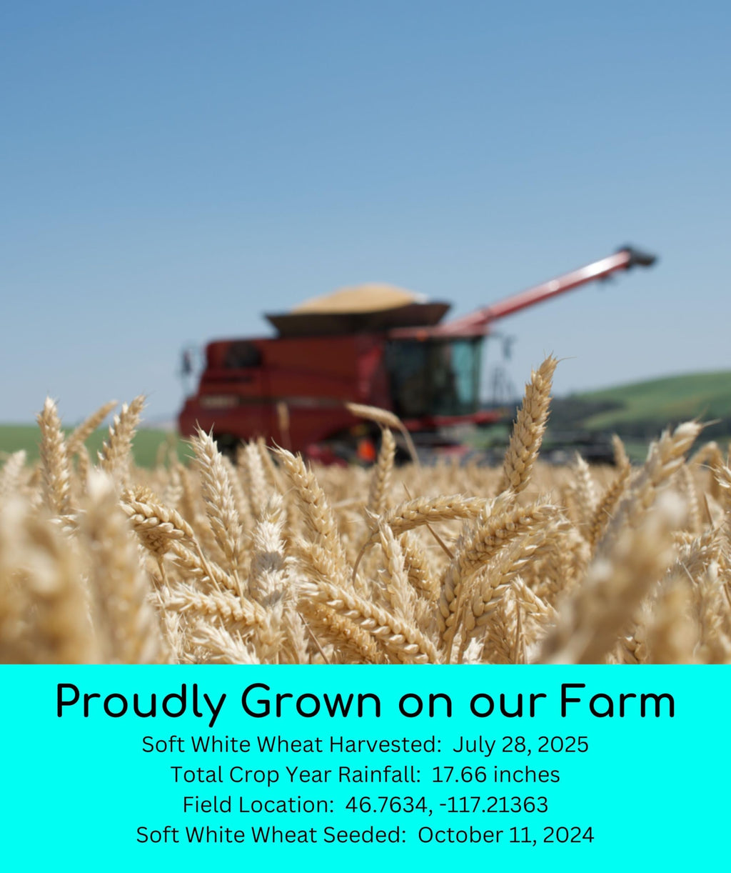 Hard Red Winter and Spring White Wheat Berries 100 LBS C7287