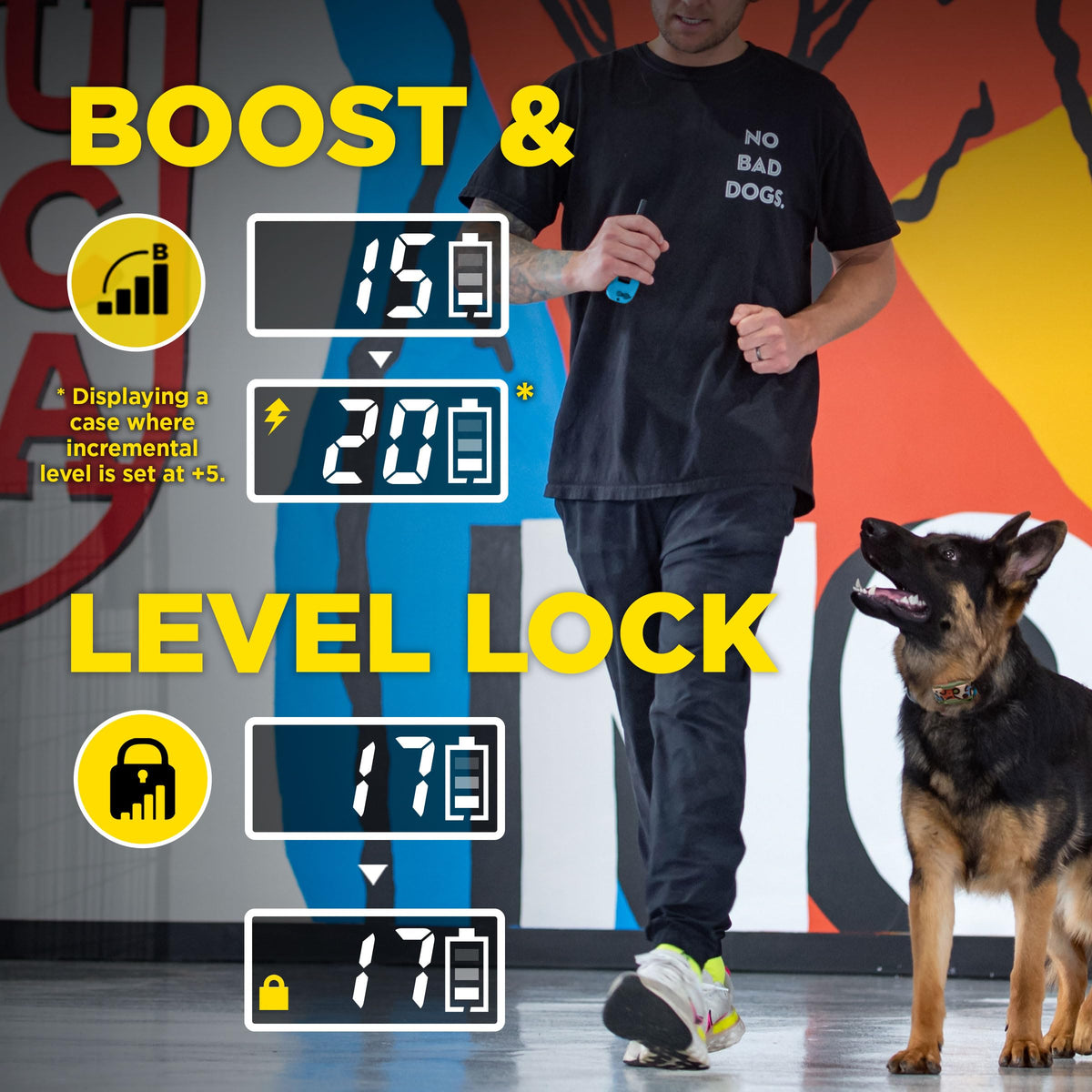 Waterproof Dog Training Collar with Remote J1590