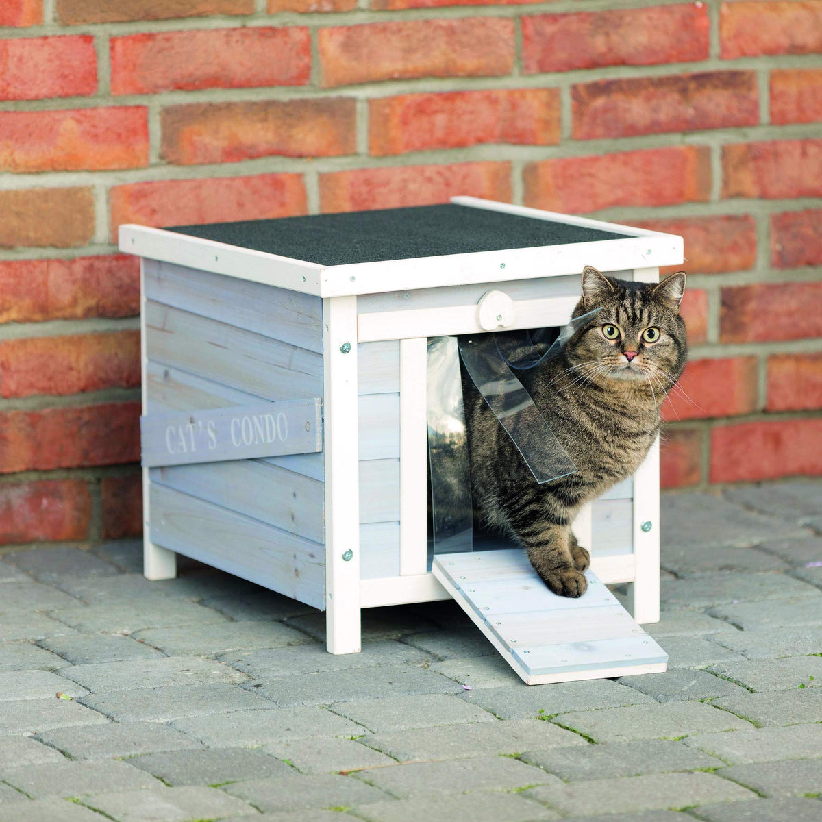 Small Outdoor Cat House with Raised Floor C545519