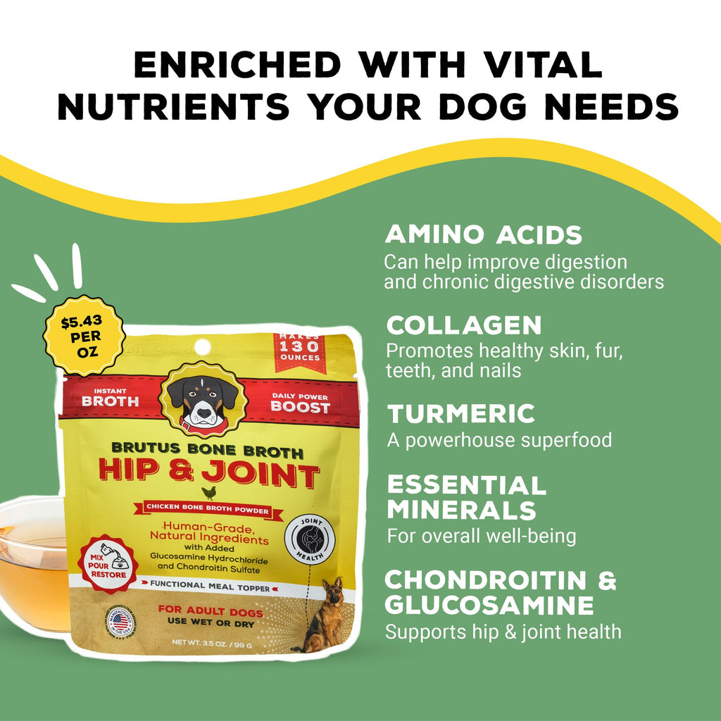 Chicken Flavor Bone Broth Powder for Dogs 3.5 oz Y4633