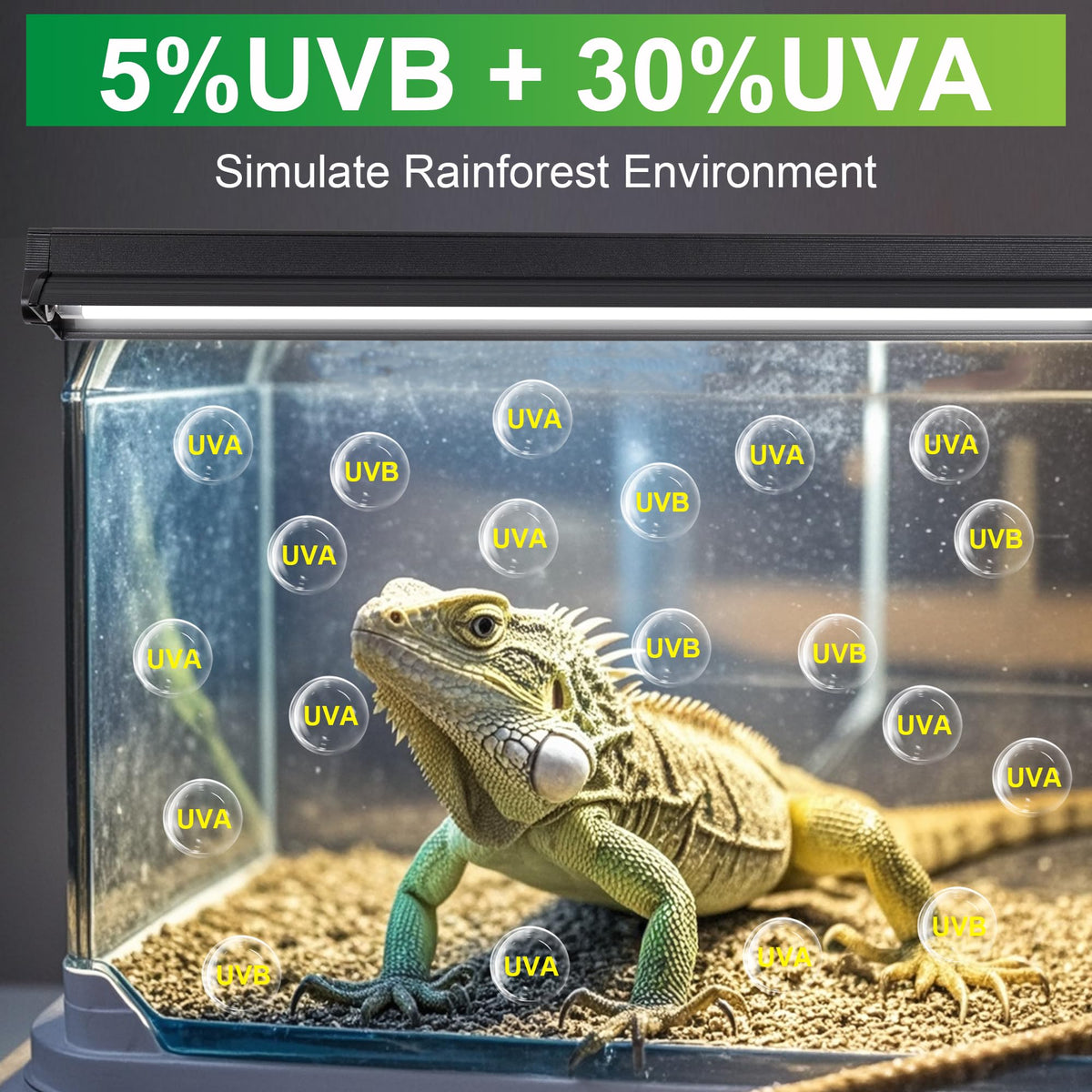 24W T5 5.0 UVB Reptile Light Kit I55688