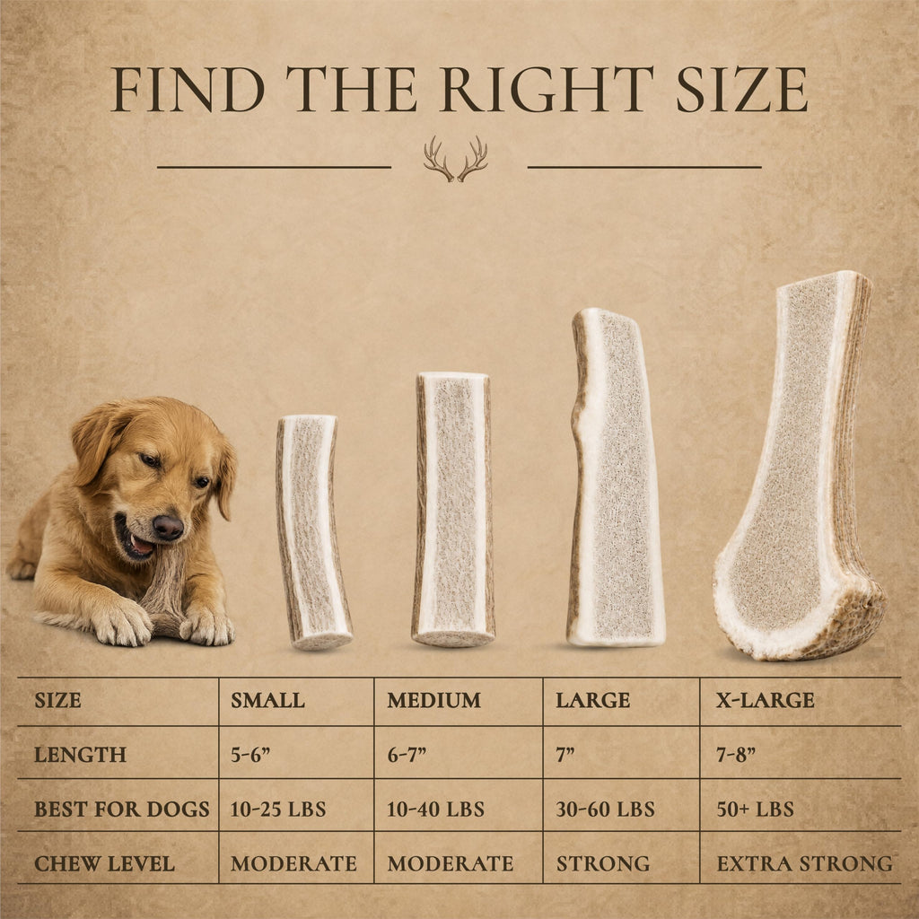 Split Elk Antler for Large Dogs, 2 Pack B7641