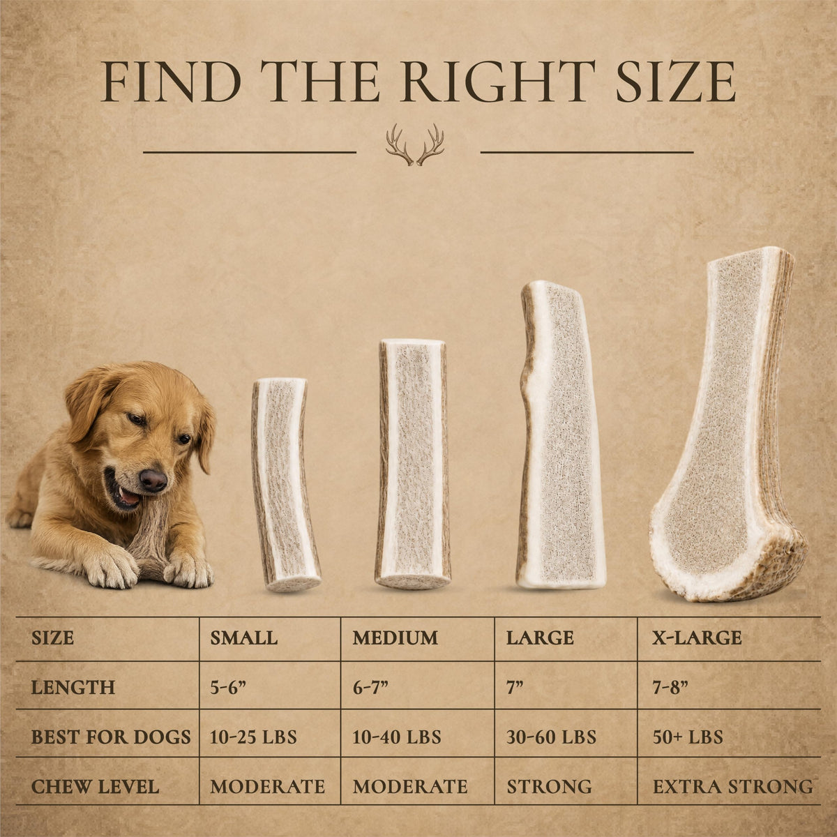 Split Elk Antler for Large Dogs, 2 Pack B7641