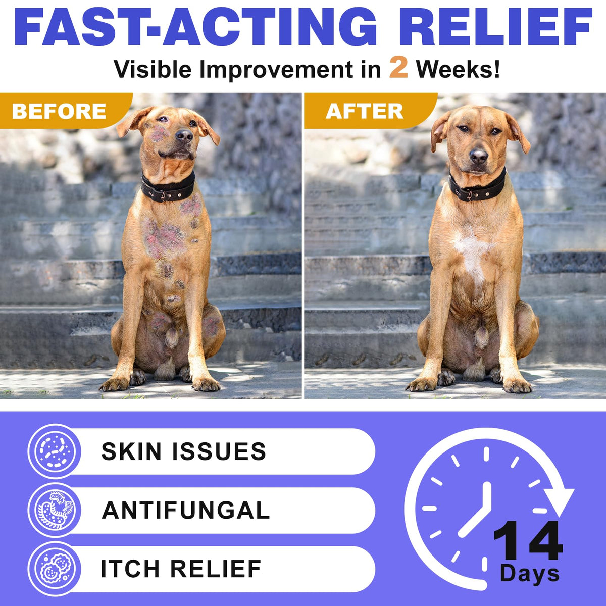 Medicated Dog Shampoo with 2% Miconazole & 2% Chlorhexidine 17 oz O589