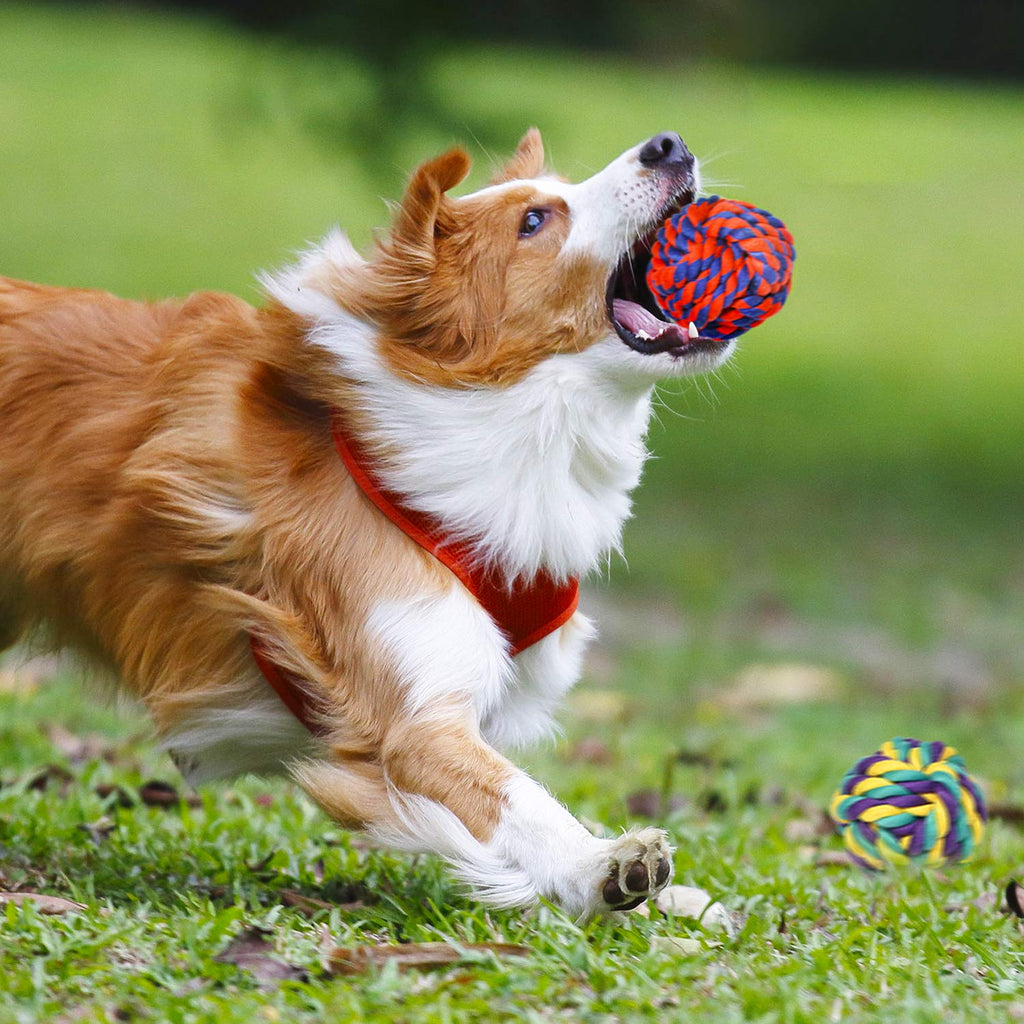 9 Pack Dog Rope Toys J630698
