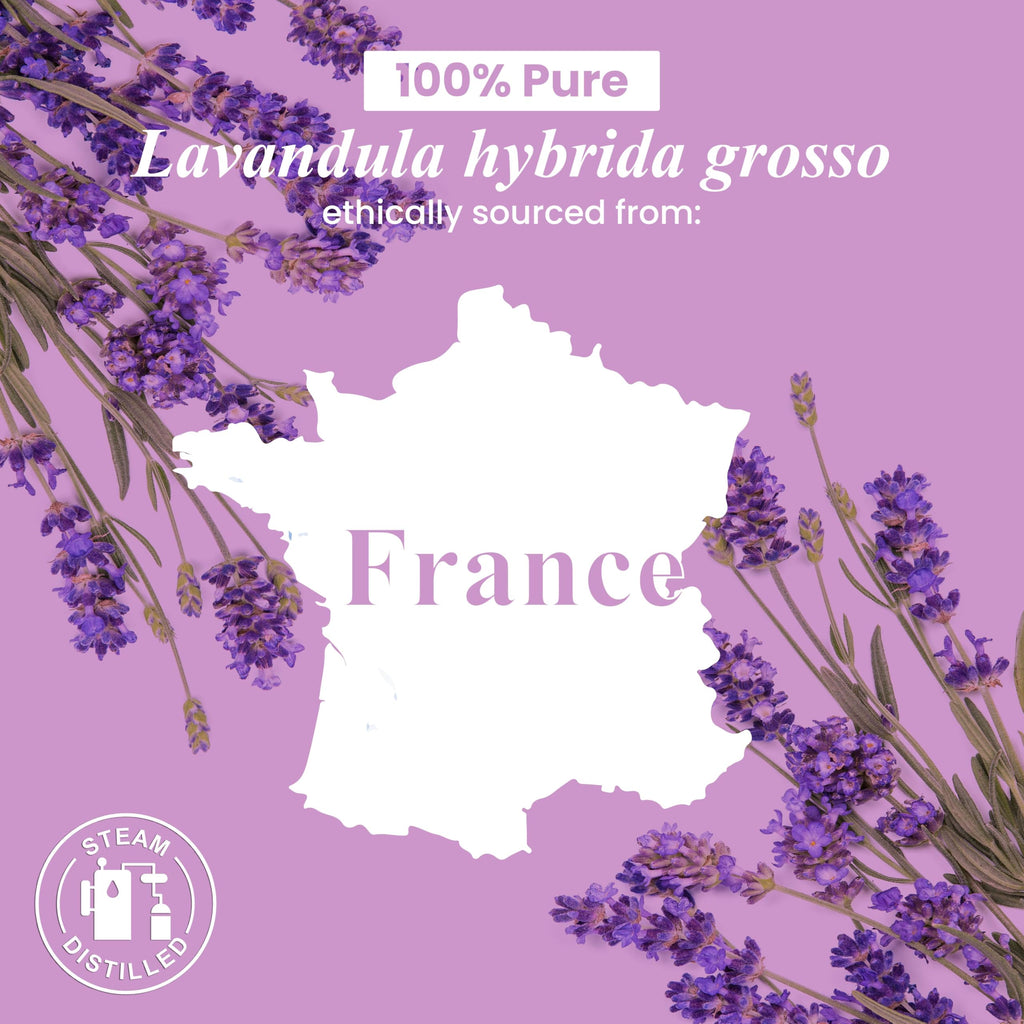 Lavender and Citronella Essential Oils 2 x 4 Fl Oz M71625