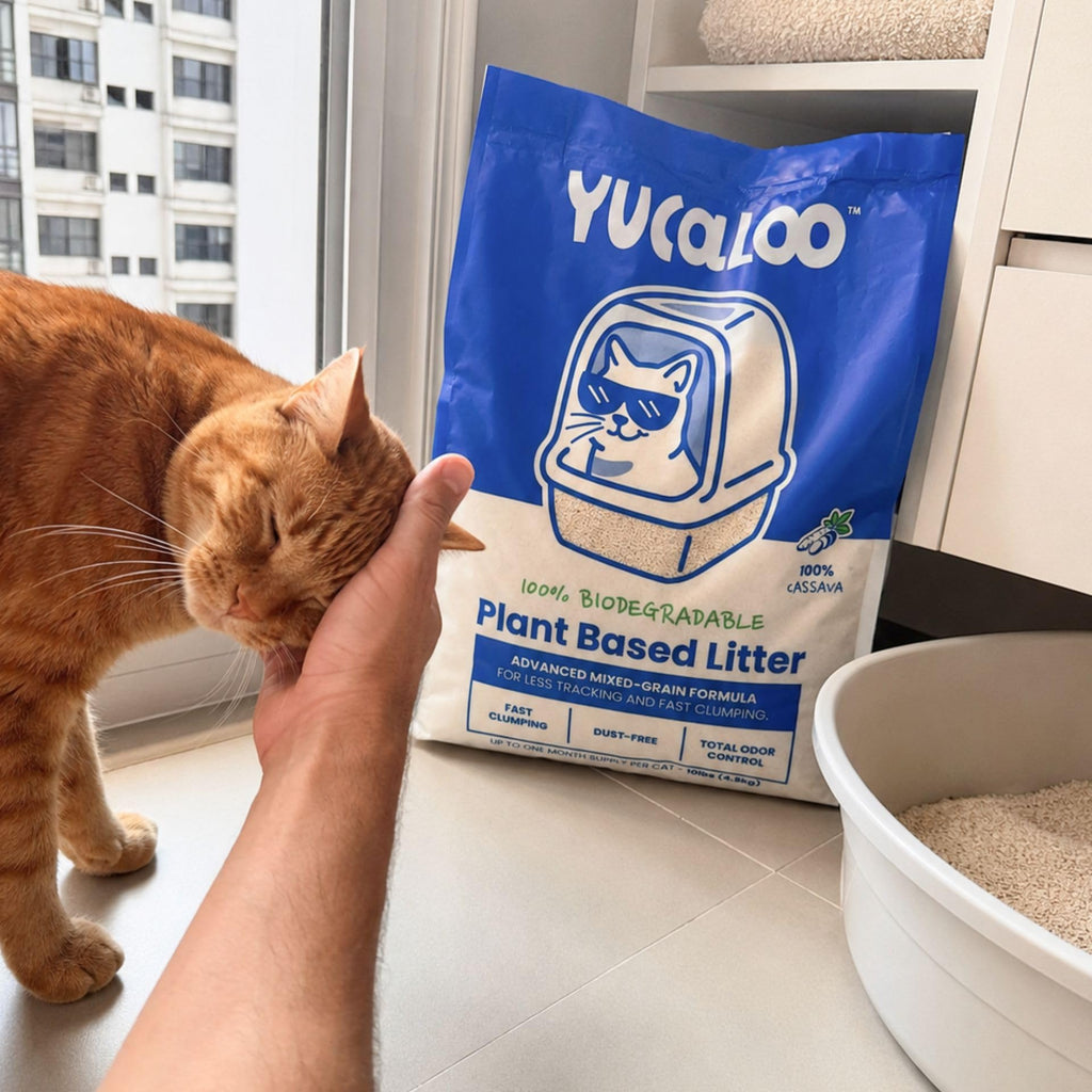 Unscented Cassava Cat Litter 10 lbs N6648