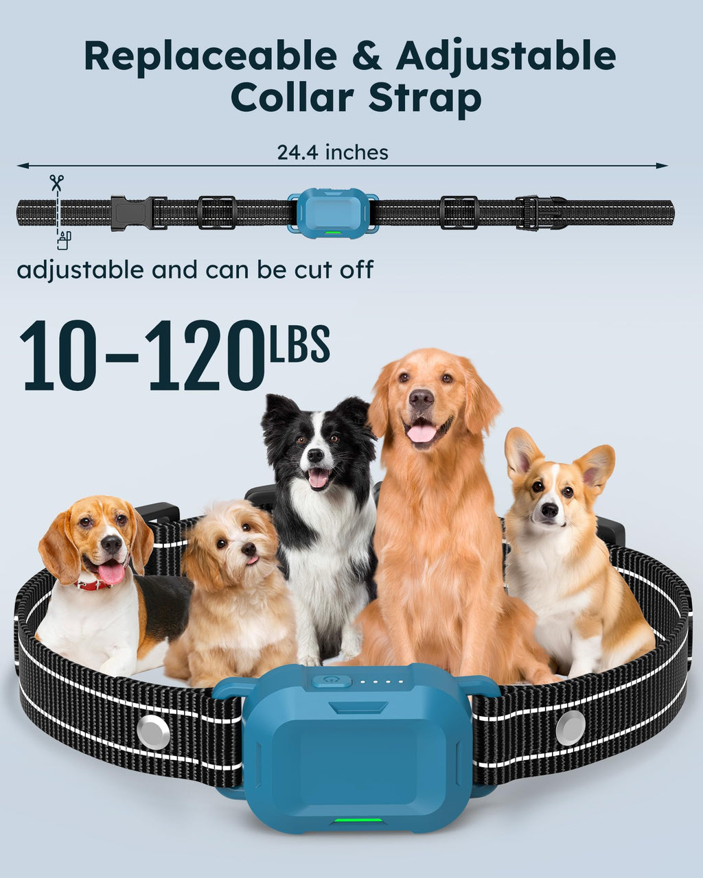 Dog Training Collar with Remote 2 Pack M3669