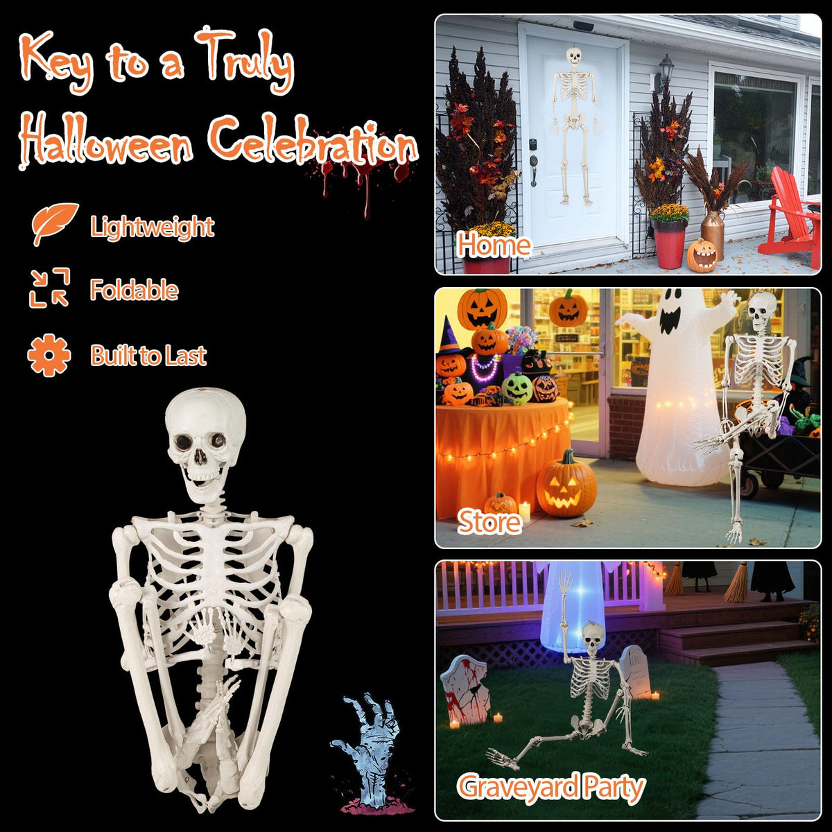 Life Size Posable Skeleton with Movable Joints D94795