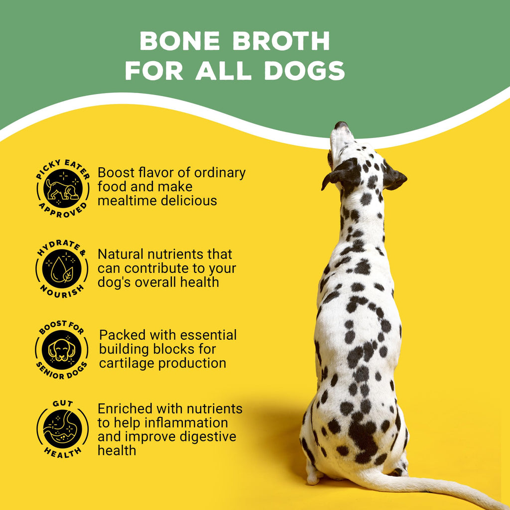 Chicken Flavor Bone Broth Powder for Dogs 3.5 oz Y4633