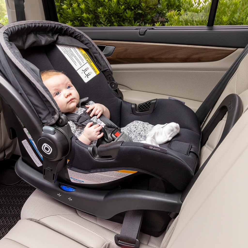 Infant Car Seat and Base, Rear-Facing 4-30lbs, Black D6522