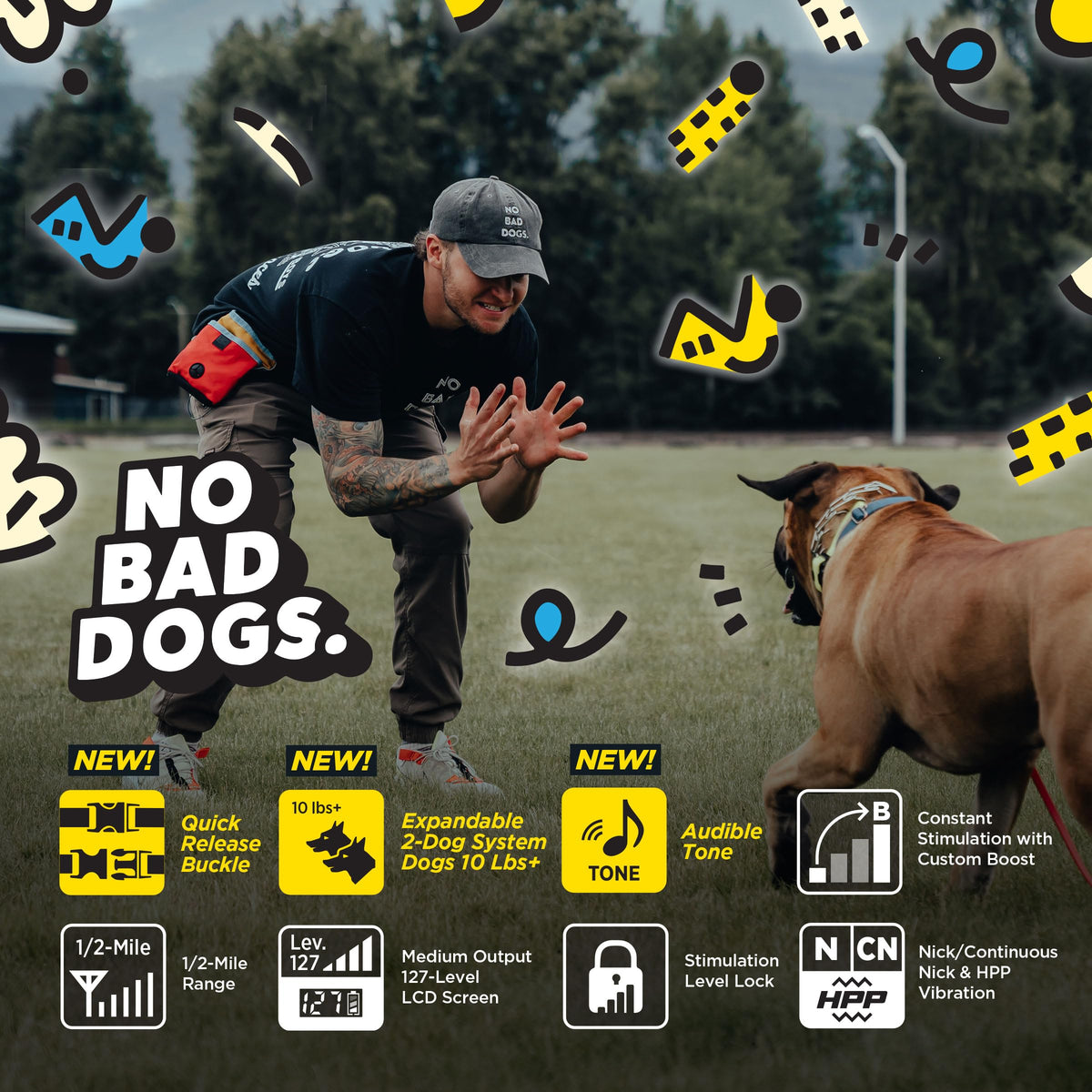 Waterproof Dog Training Collar with Remote J1590