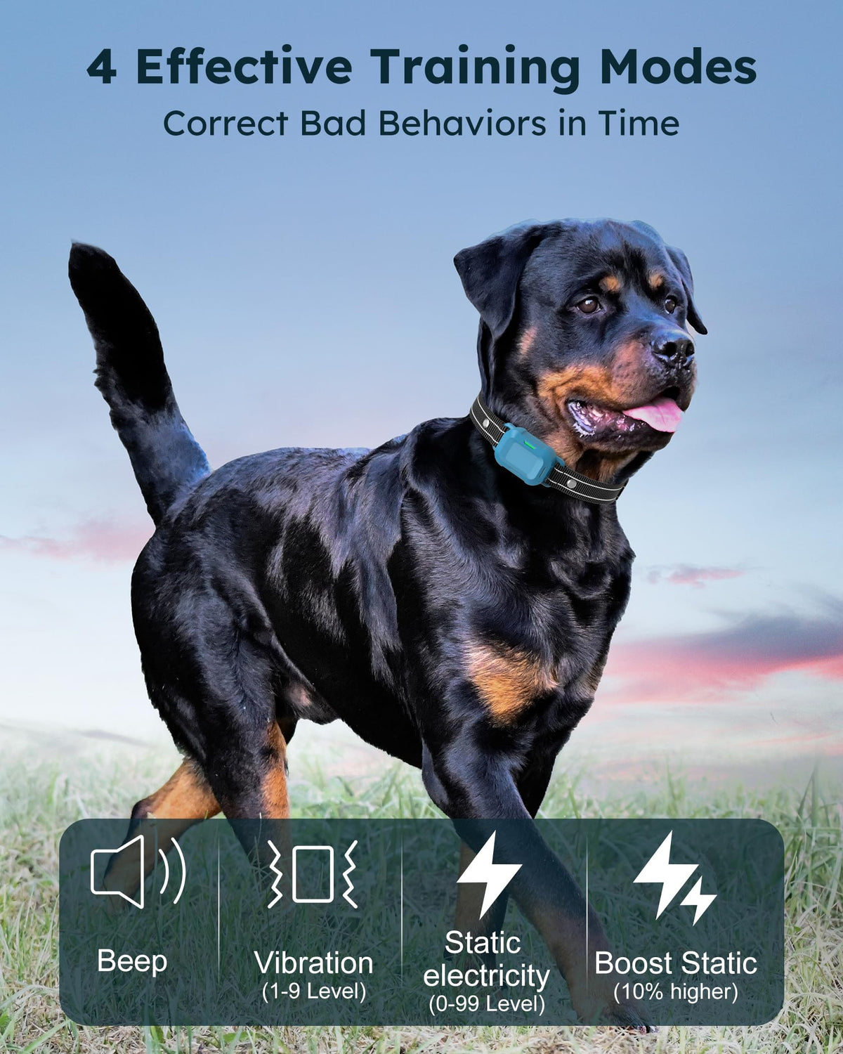 Dog Training Collar with Remote 2 Pack M3669