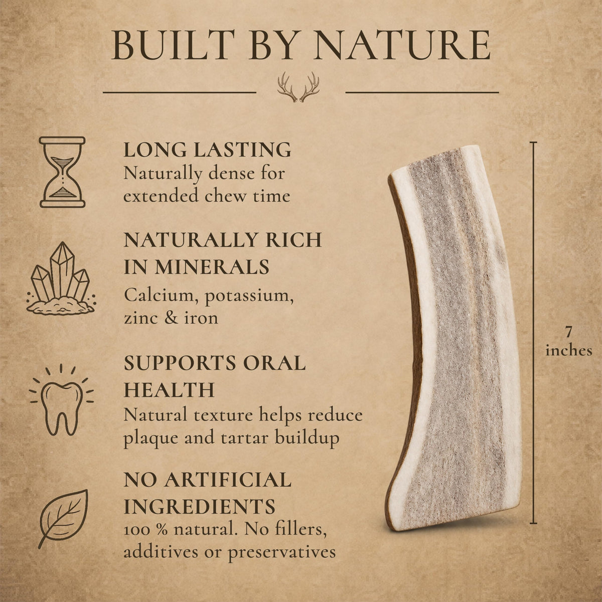 Split Elk Antler for Large Dogs, 2 Pack B7641