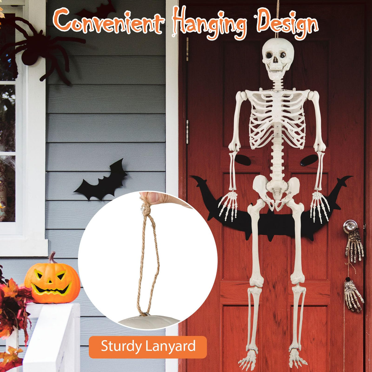 Life Size Posable Skeleton with Movable Joints D94795